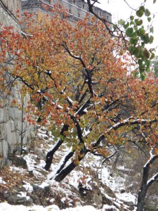 Christmas looks like this somewhere, I'm sure!